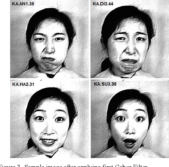 Fast Facial emotion recognition Using Convolutional Neural Networks and Gabor Filters